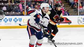 Cox returns to K-Wings