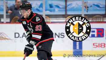 Taylor inks deal with Nailers