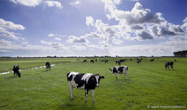 Stikstofuitstoot melkveehouderij verder gedaald