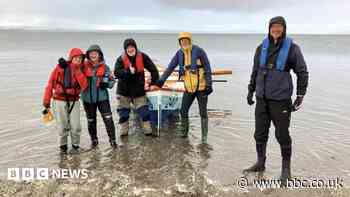 From Scotland to the Isle of Man: Veteran rowers complete marathon challenge