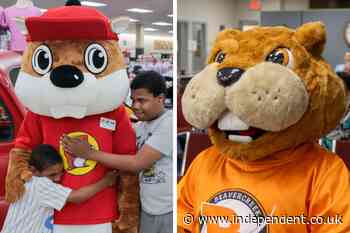 Ohio city declares beaver historic symbol amid Buc-ee’s trademark lawsuit
