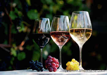 Duchman Family Winery in Driftwood ranks No. 3 in USA Today’s best tasting rooms list