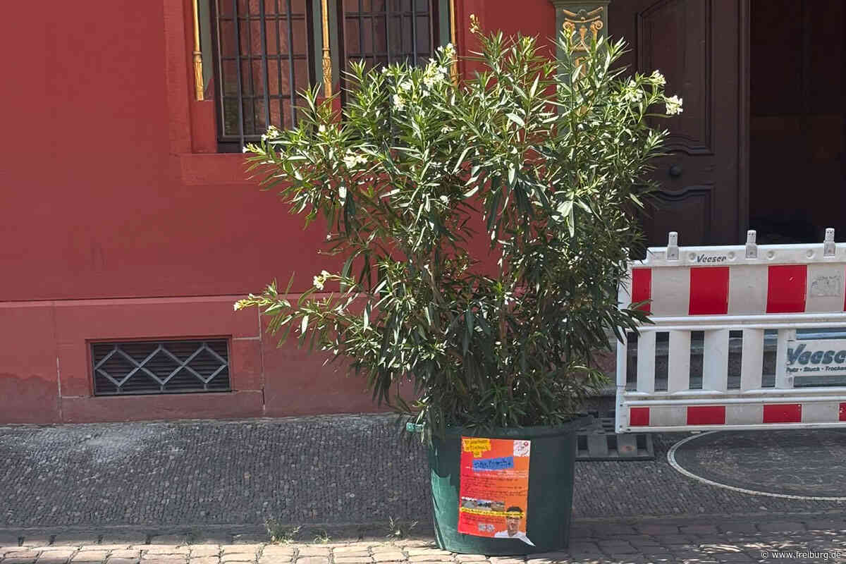 Gefälschte Plakate zum Thema Hitze im Umlauf