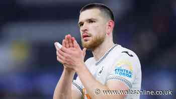Hull City's Zan Vipotnik offer revealed and the deal that's setting Swansea City's bar
