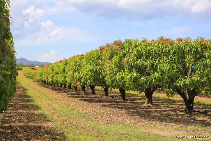 Organic Industry backs review of Horticulture Code to strengthen fair trading