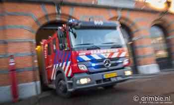 Brandweer voorkomt erger bij bosbrand in Bergen op Zoom