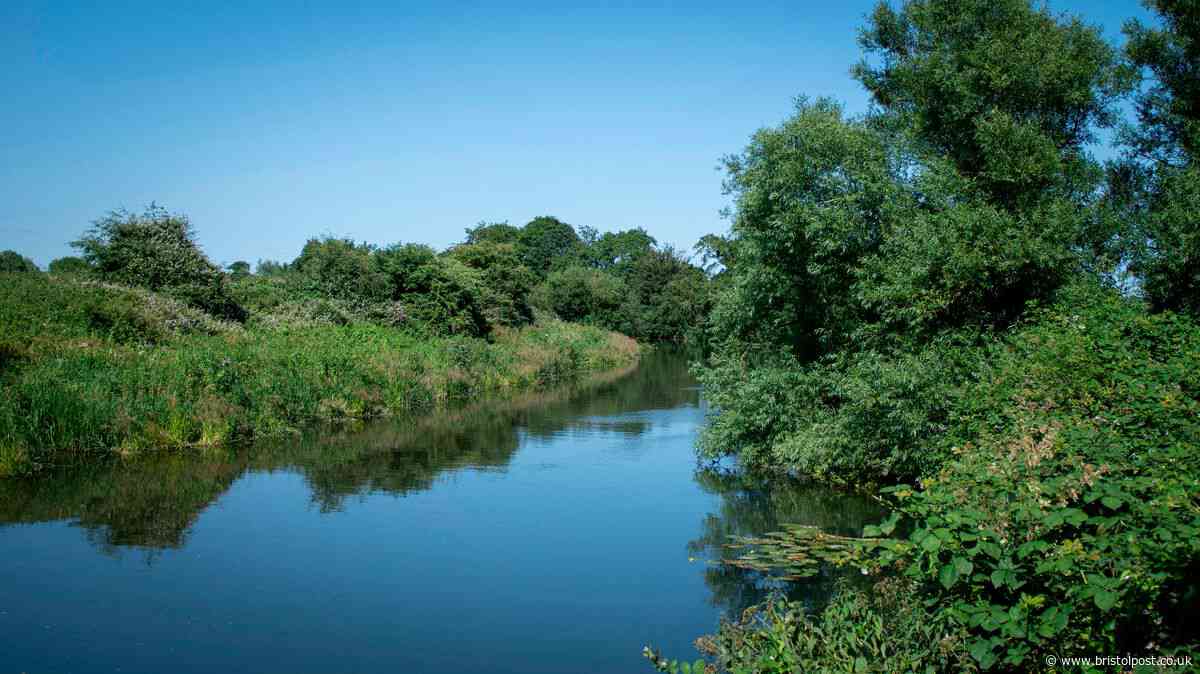 Five kids end up in hospital after swimming in river Avon