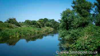 Five kids end up in hospital after swimming in river Avon