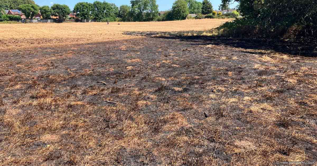 Bristol park scorched after 'deliberate' blaze