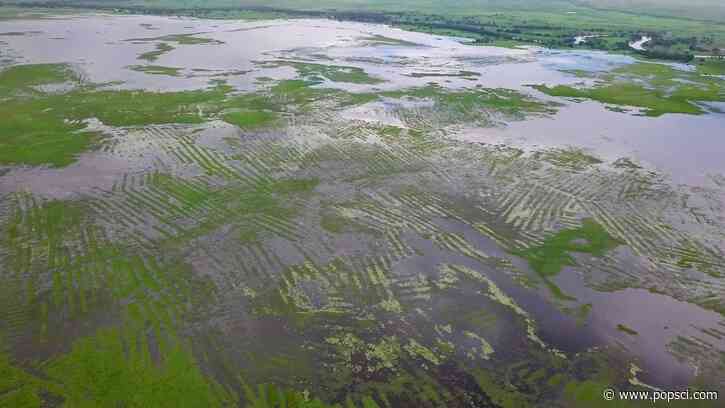 Ancient South American families built massive waterways by themselves