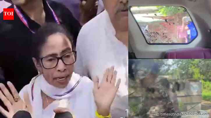 'Had chest pain after my car was attacked by huge stone, couldn't speak for 2 days': Mamata Banerjee