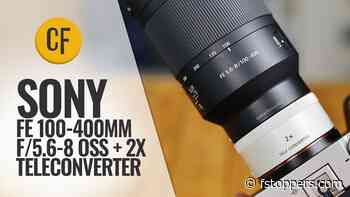 Bird and Wildlife Reach on a Budget: A Review of the Sony FE 100-400 f/5.6-8