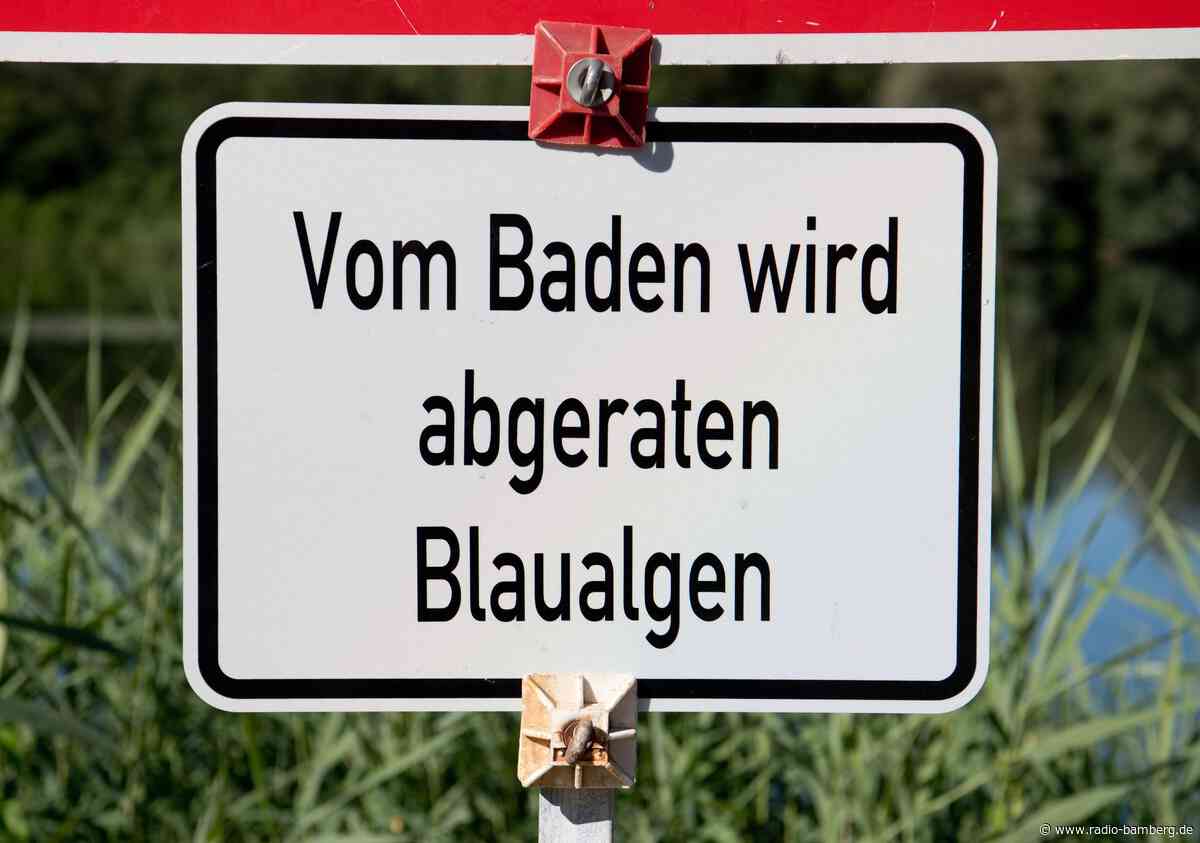 Badewarnung wegen Blaualgen in Baggersee in Oberfranken