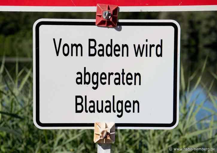 Badewarnung wegen Blaualgen in Baggersee in Oberfranken