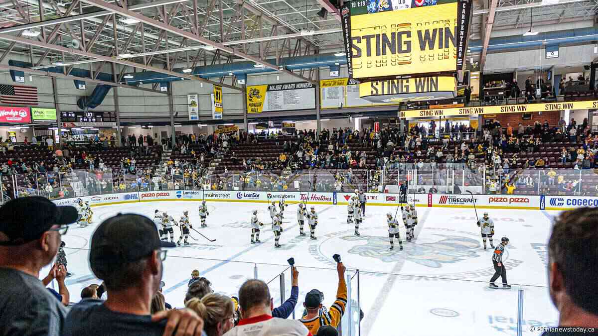 Fun events coming to The Hive this Sting season