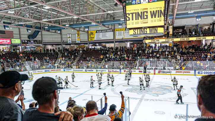 Fun events coming to The Hive this Sting season