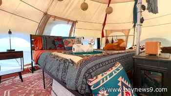 Spend the night glamping with Highland cows or visit for the day at this hidden Florida farm
