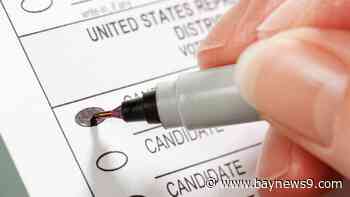 Florida primary voters encouraged to research ballots before casting their votes