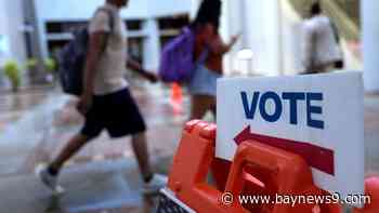 Primary Election Day in Tampa Bay: Here's what you need to know
