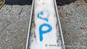 'Mindless' vandals wreck new £178k Halewood play park before it even opens