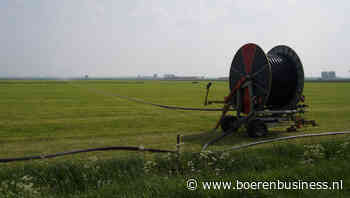 Groei raakt helemaal uit het gras