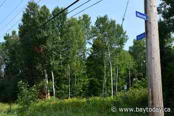 West Ferris resident petitions council to complete studies before 114-unit townhouse plan advances