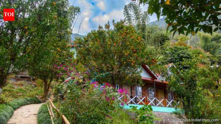 Rooftop Farm Yields Income: 55-year-old grows nearly 100 crops without chemicals; terrace earns ₹80,000 a year