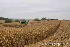 Small Business Administration offers loans in 13 Nebraska counties facing drought