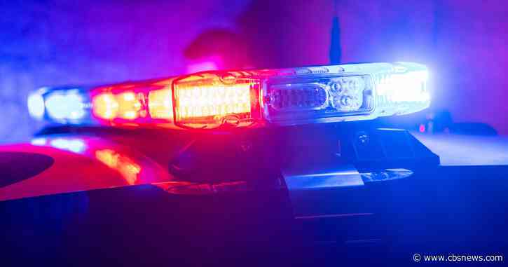Mother and son forced to open home safe at gunpoint during LaGrange robbery, police say
