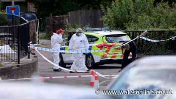 Murder investigation police believe violent disorder 'involved rival motorbike clubs'