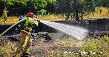 Brandweer vermoedt brandstichting na natuurbrand Doetinchem: ‘Jongeren speelden hier met vuur’