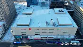 Edmonton developer looks to buy downtown mall, convert half to housing