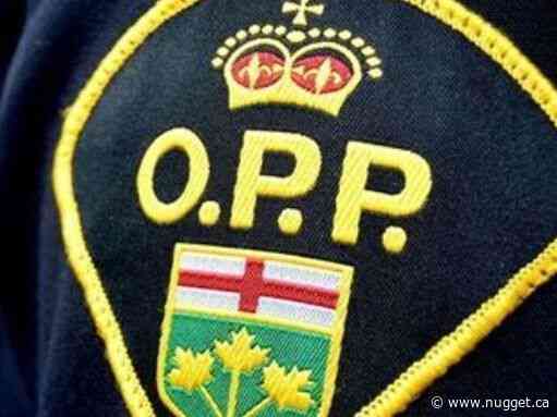 OPP warning people to be wary of the 'dirty oil scam' when trying to sell their car