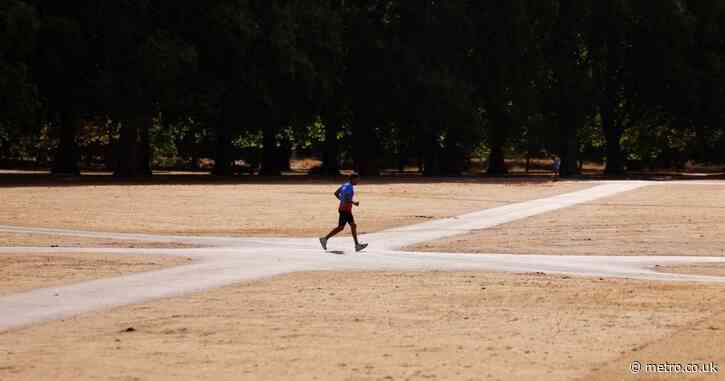2026 is on course to become the hottest summer on record