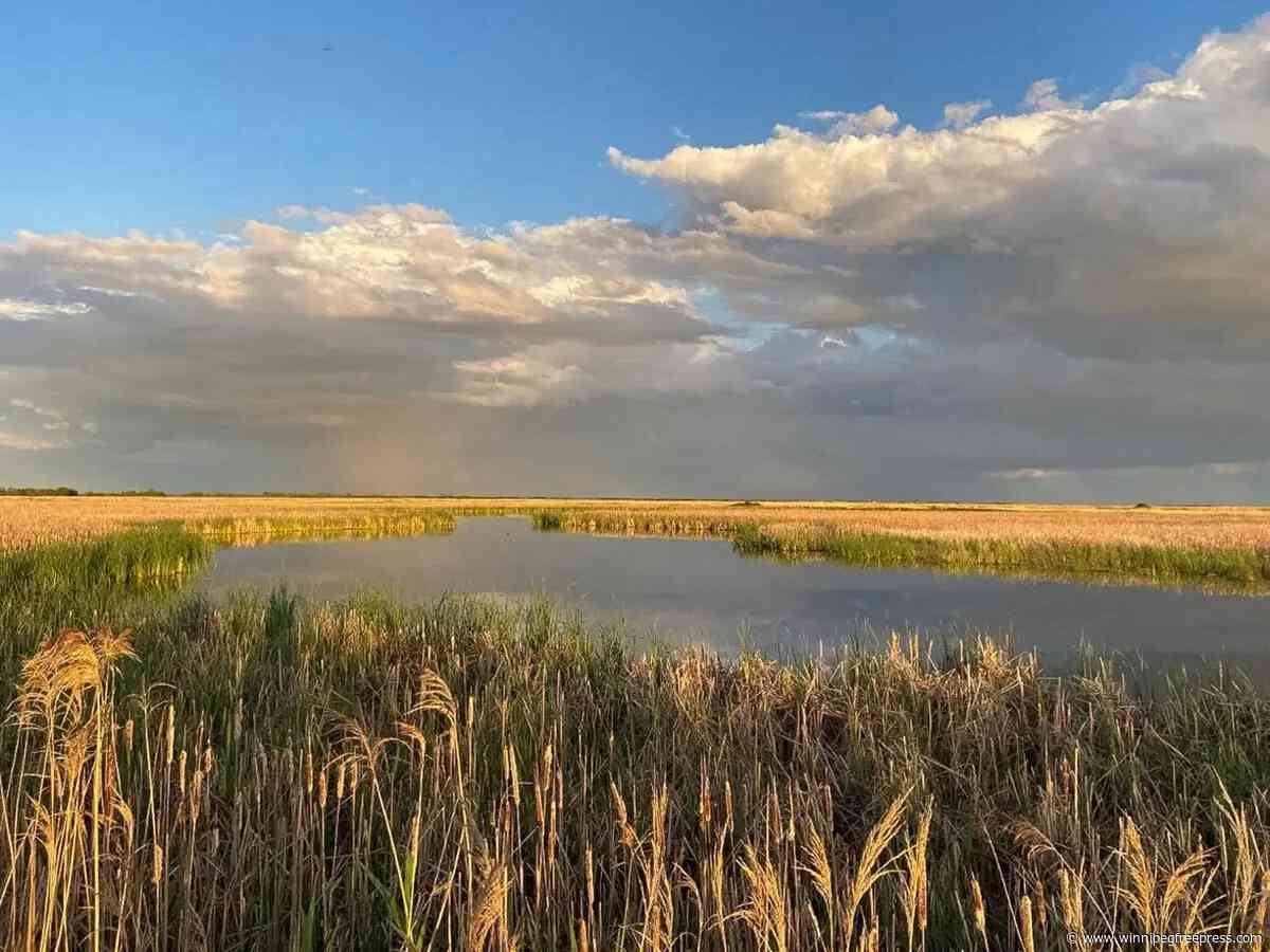 Ducks Unlimited makes province’s largest-ever conservation-land purchase
