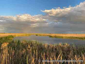 Ducks Unlimited makes province’s largest-ever conservation-land purchase