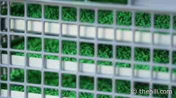 Texas sterile fly facility set for spring opening