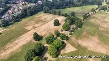 WRU issues warning to clubs as pre-season matches cancelled and training halted