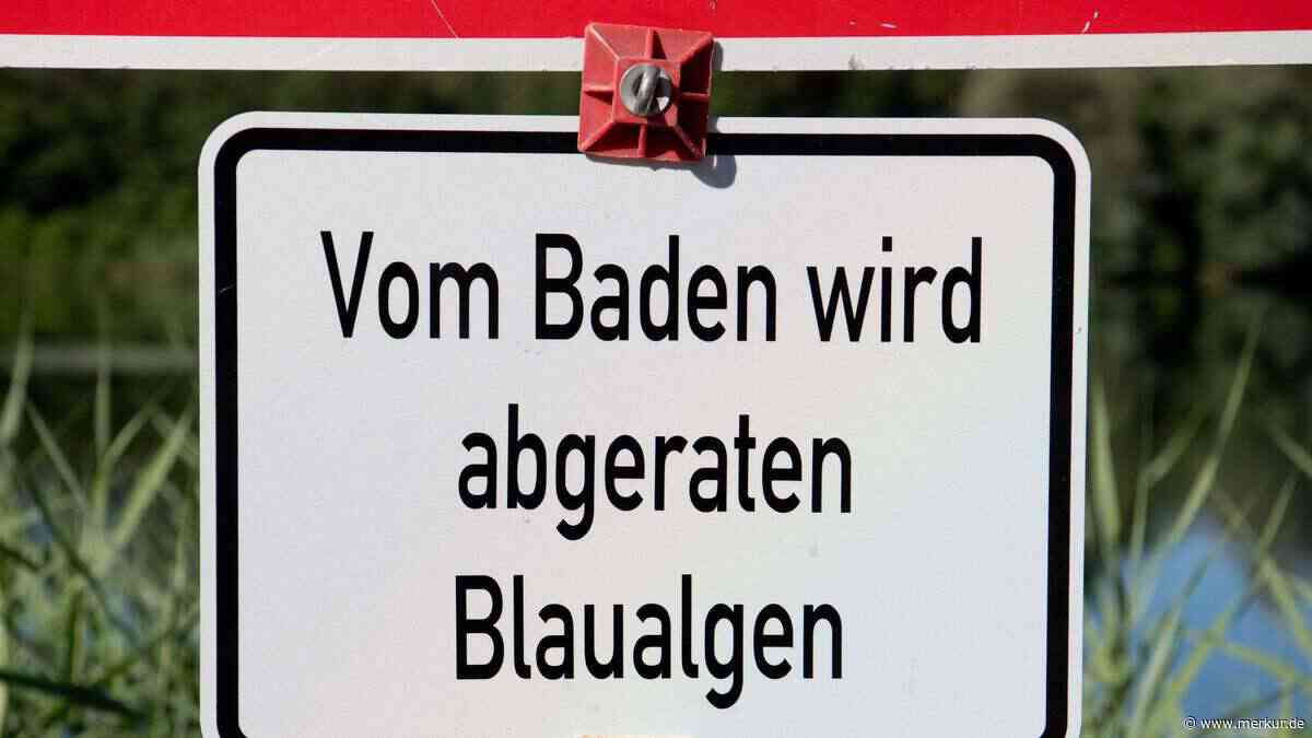 Gefahr vor körperlichen Beschwerden: Gesundheitsamt rät von Baden in Baggersee bei Bamberg ab
