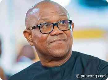 Peter Obi warns against accepting unverified credentials in leadership