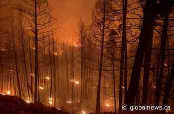 B.C. to provide wildfire and drought update as more than 100 fires burn