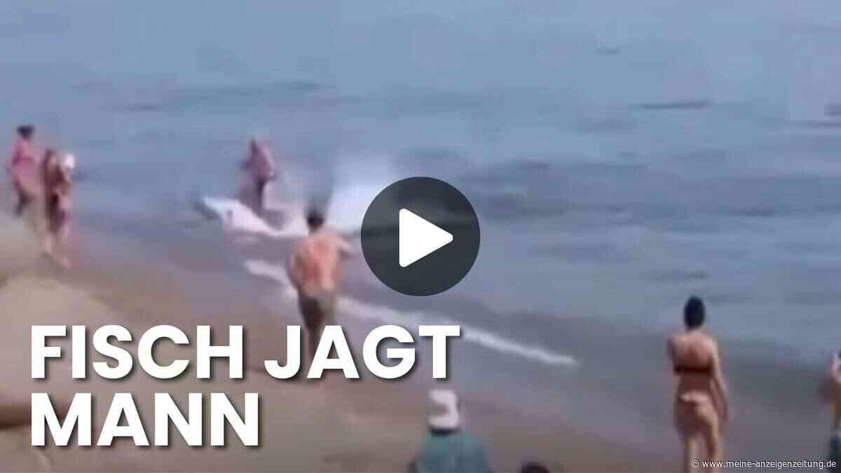 Panik am Strand von Marbella – Badegast flieht