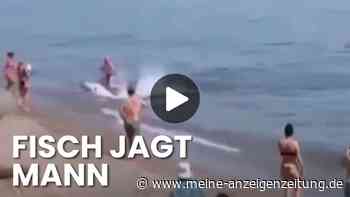 Panik am Strand von Marbella – Badegast flieht
