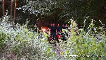 Neunjähriger Junge stürzt heftig mit Mountainbike in beliebtem Waldstück