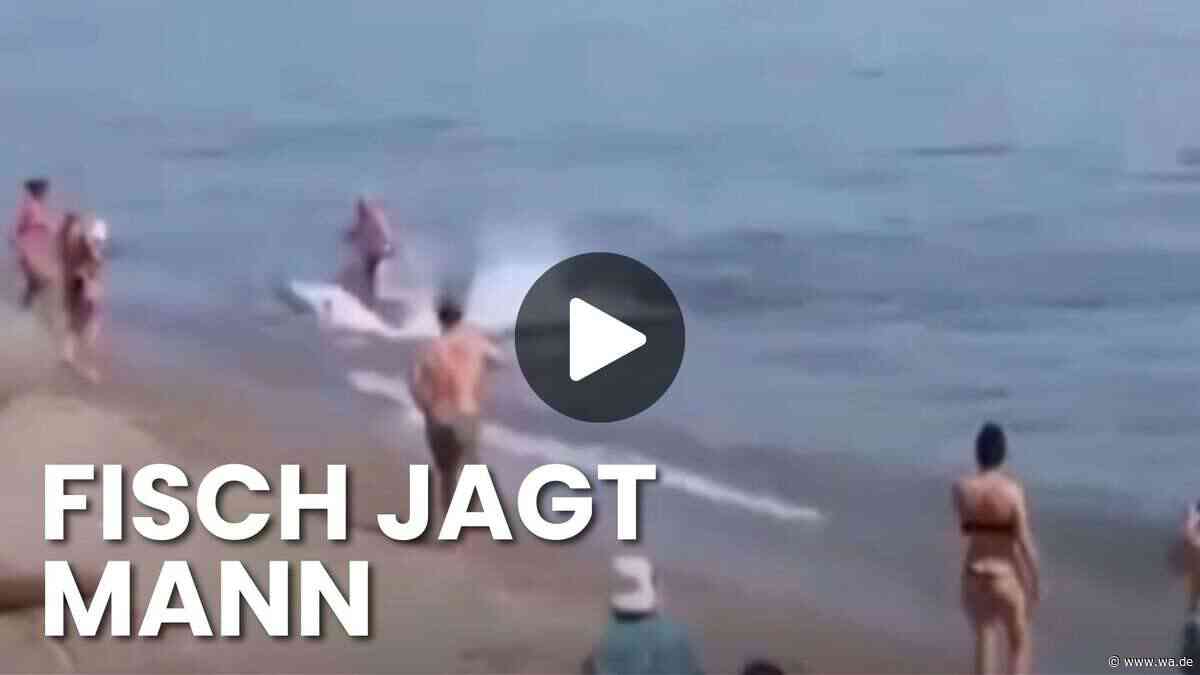 Panik am Strand von Marbella – Badegast flieht