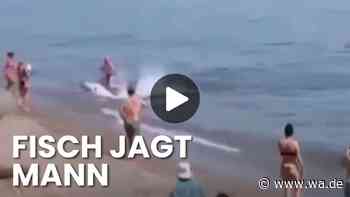 Panik am Strand von Marbella – Badegast flieht