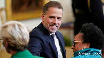 Hunter Biden: Trump 'the one existential threat' to U.S.