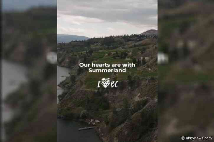 Wine Growers BC steps in to support wineries affected by Summerland wildfire