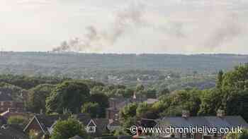 Washington fire LIVE: Smoke seen for miles as flames engulf building in industrial estate