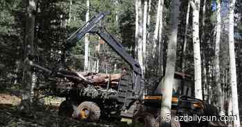 Coconino County funds major fuels reduction project on slopes of San Francisco Peaks
